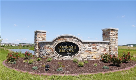 Homes for Sale in Savannah Brooks DeForest | Don Tierney