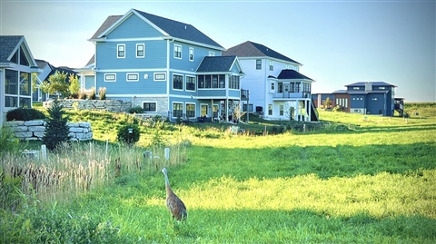 Homes for Sale in Savannah Brooks DeForest Don Tierney