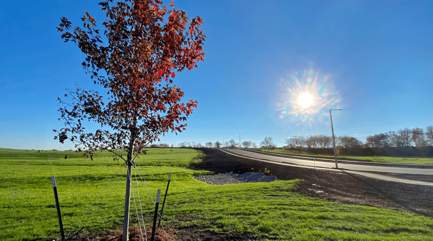 Join us for a Ribbon Cutting at Tanimarah Ridge!